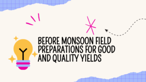 Before monsoon Field preparations for good and quality yields